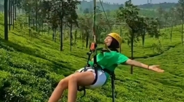 zipline web