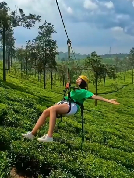 zipline web